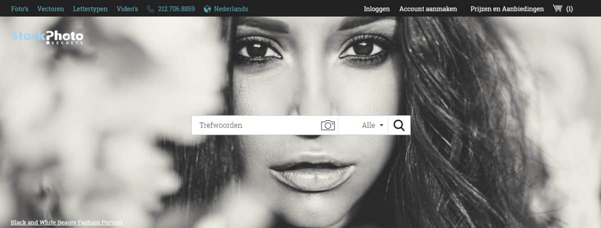 Gratis beelden zonder auteursrechten (+ alternatief!) 6 Gratis beelden zonder auteursrechten (+ alternatief!) 2
