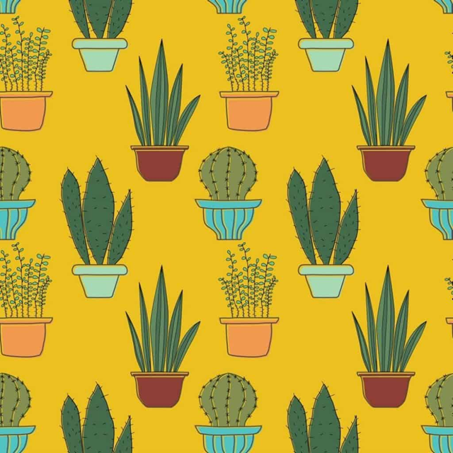 Foto's met een uitgebreide licentie kopen - de beste sites 6 adpic-vector-kaktus