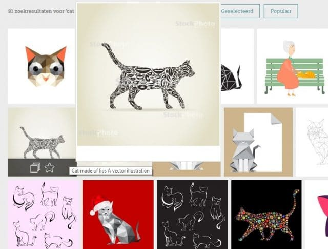 Vector Cat 1