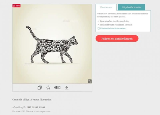 Vector Cat 2