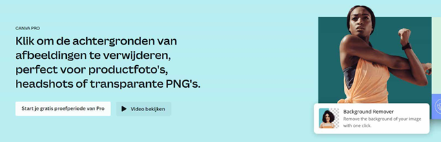 canva-pro