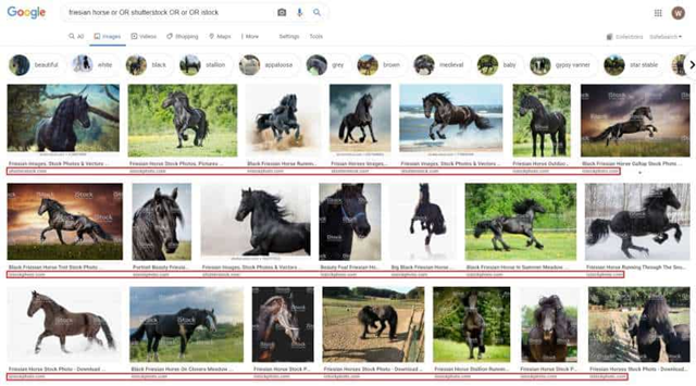 Google Afbeeldingen zoeken