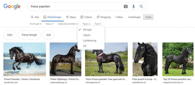 Google Afbeeldingstype