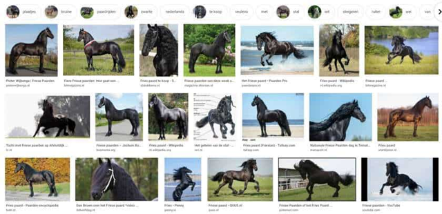 Google-zoekresultaten