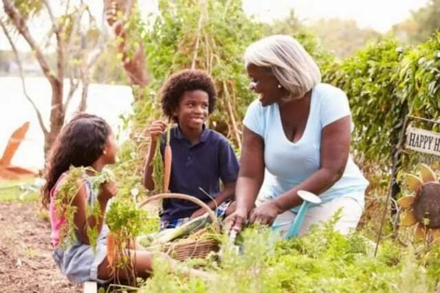 Dreamstime Duurzame gastronomie