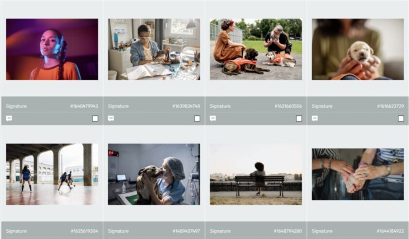 iStock Signature foto's