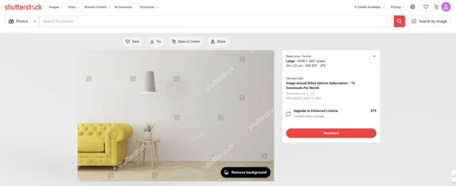 Shutterstock AI-preshot-afbeelding om te bewerken geval 3