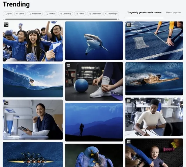 sstk trending afbeeldingen