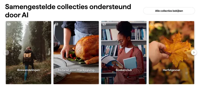 Hoe Designers Shutterstock Gebruiken om hun Creatieve Workflow te Optimaliseren 6 shutterstock ai-ondersteunde collecties