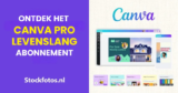 Ontdek het Canva Pro levenslang abonnement & de beste alternatieve prijzen